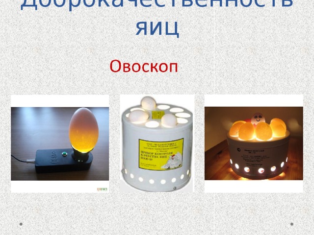 Доброкачественность яиц 