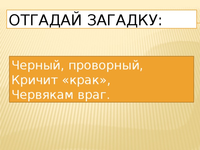 Отгадай загадку: Черный, проворный, Кричит «крак», Червякам враг. 