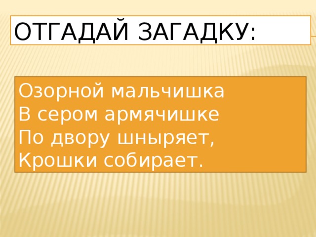 Отгадай загадку: Озорной мальчишка В сером армячишке По двору шныряет, Крошки собирает. 