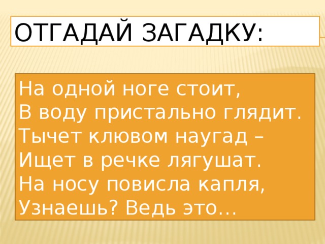 Отгадай загадку: На одной ноге стоит, В воду пристально глядит. Тычет клювом наугад – Ищет в речке лягушат. На носу повисла капля, Узнаешь? Ведь это… 