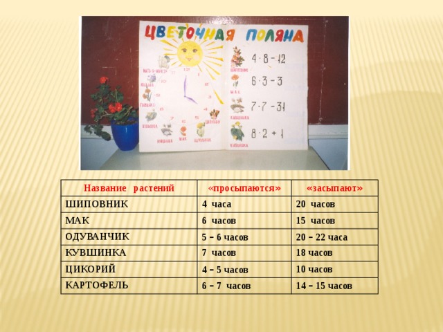 Название растений ШИПОВНИК « просыпаются » « засыпают » 4 часа МАК 20 часов ОДУВАНЧИК 6 часов КУВШИНКА 5 – 6 часов 15 часов ЦИКОРИЙ 20 – 22 часа 7 часов 18 часов 4 – 5 часов КАРТОФЕЛЬ 10 часов 6 – 7 часов 14 – 15 часов 