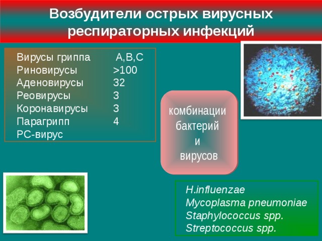 Грипп и парагрипп презентация