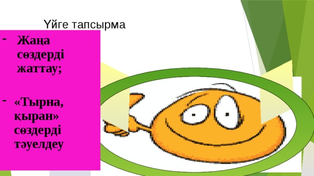 Үйге тапсырма Жаңа сөздерді жаттау;  «Тырна, қыран» сөздерді  тәуелдеу 