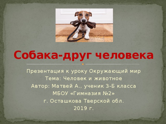 Собака друг или враг проект