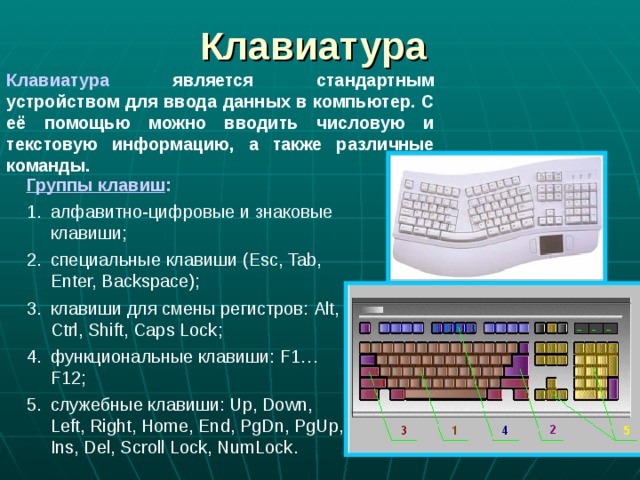 Клавиатура Клавиатура является стандартным устройством для ввода данных в компьютер. С её помощью можно вводить числовую и текстовую информацию, а также различные команды. Группы клавиш : алфавитно-цифровые и знаковые клавиши; специальные клавиши ( Esc, Tab, Enter, Backspace); клавиши для смены регистров: Alt, Ctrl, Shift, Caps Lock ; функциональные клавиши: F1…F12 ; служебные клавиши: Up, Down, Left, Right, Home, End, PgDn, PgUp, Ins, Del, Scroll Lock, NumLock . 