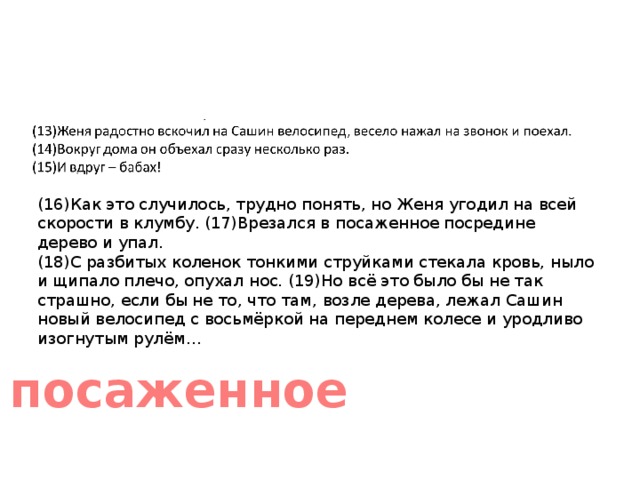 (16)Как это случилось, трудно понять, но Женя угодил на всей скорости в клумбу. (17)Врезался в посаженное посредине дерево и упал.   (18)С разбитых коленок тонкими струйками стекала кровь, ныло и щипало плечо, опухал нос. (19)Но всё это было бы не так страшно, если бы не то, что там, возле дерева, лежал Сашин новый велосипед с восьмёркой на переднем колесе и уродливо изогнутым рулём… посаженное 