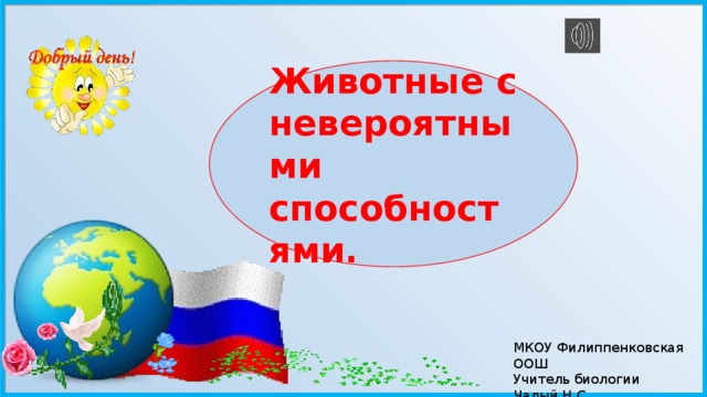 Животные с невероятными способностями. МКОУ Филиппенковская ООШ Учитель биологии Чалый Н.С.  2019 г. 