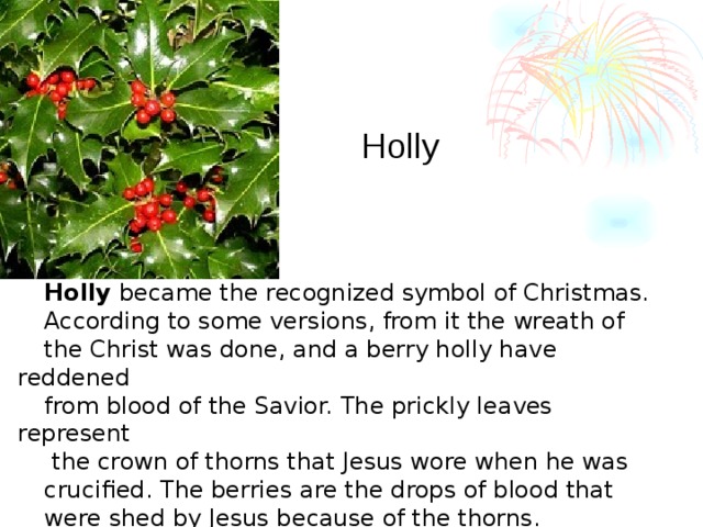 Holly Holly became the recognized symbol of Christmas. According to some versions, from it the wreath of the Christ was done, and a berry holly have reddened from blood of the Savior. The prickly leaves represent  the crown of thorns that Jesus wore when he was crucified. The berries are the drops of blood that were shed by Jesus because of the thorns.  