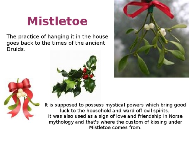 Mistletoe The practice of hanging it in the house goes back to the times of the ancient Druids. It is supposed to possess mystical powers which bring good luck to the household and ward off evil spirits. It was also used as a sign of love and friendship in Norse mythology and that's where the custom of kissing under Mistletoe comes from.  