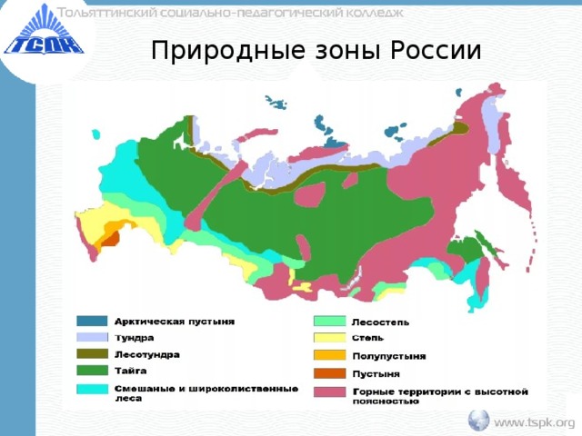 Какая природная зона занимает меньше всего. Природные зоны России 2023. Карта природных зон России. Природные зоны Тайга и тундра. Название природных зон России.