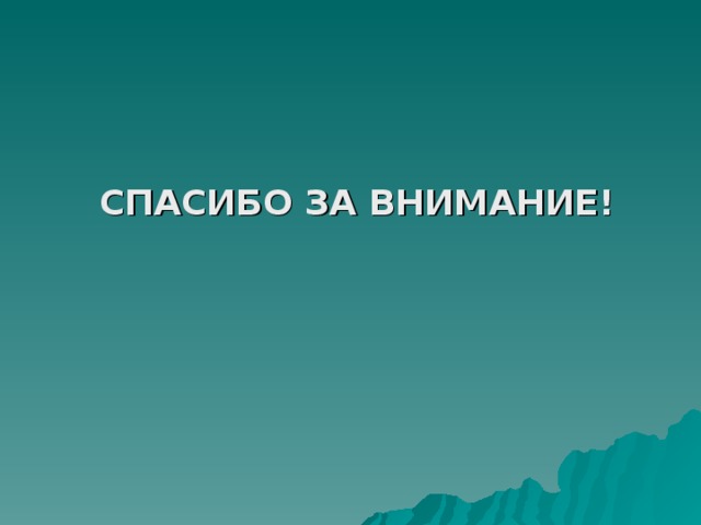 СПАСИБО ЗА ВНИМАНИЕ! 