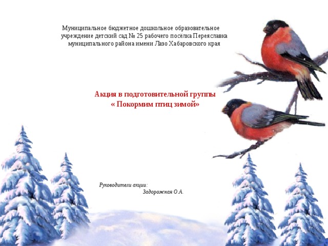 Муниципальное бюджетное дошкольное образовательное учреждение детский сад № 25 рабочего посёлка Переяславка муниципального района имени Лазо Хабаровского края Акция в подготовительной группы « Покормим птиц зимой» Руководители акции: Задорожная О.А. 