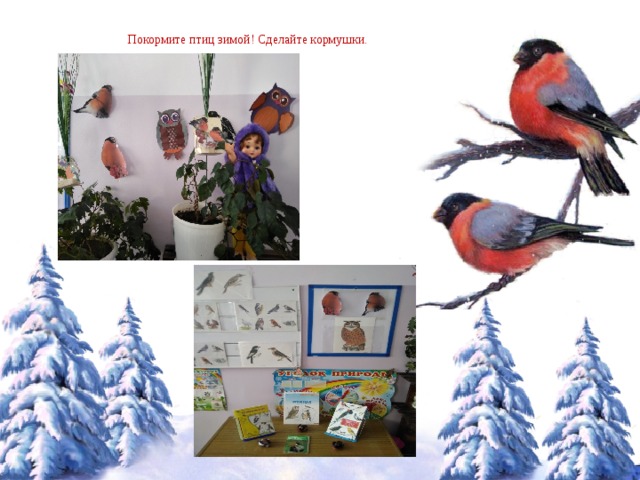 Покормите птиц зимой! Сделайте кормушки. 