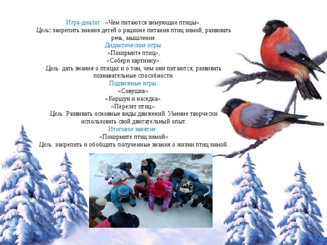 Игра-диалог:   «Чем питаются зимующие птицы». Цель :  закрепить знания детей о рационе питания птиц зимой, развивать речь, мышление. Дидактические игры: «Покормите птиц», «Собери картинку». Цель : дать знания о птицах и о том, чем они питаются, развивать познавательные способности. Подвижные игры: «Совушка». «Коршун и наседка». «Перелет птиц». Цель : Развивать основные виды движений. Умение творчески использовать свой двигательный опыт. Итоговое занятие:   «Покормите птиц зимой» Цель:   закрепить и обобщить полученные знания о жизни птиц зимой. 
