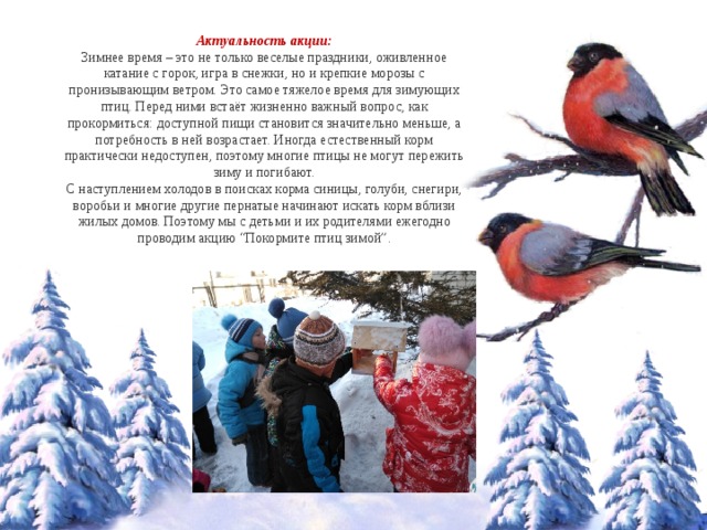 Актуальность акции: Зимнее время – это не только веселые праздники, оживленное катание с горок, игра в снежки, но и крепкие морозы с пронизывающим ветром. Это самое тяжелое время для зимующих птиц. Перед ними встаёт жизненно важный вопрос, как прокормиться: доступной пищи становится значительно меньше, а потребность в ней возрастает. Иногда естественный корм практически недоступен, поэтому многие птицы не могут пережить зиму и погибают. С наступлением холодов в поисках корма синицы, голуби, снегири, воробьи и многие другие пернатые начинают искать корм вблизи жилых домов. Поэтому мы с детьми и их родителями ежегодно проводим акцию “Покормите птиц зимой”. 