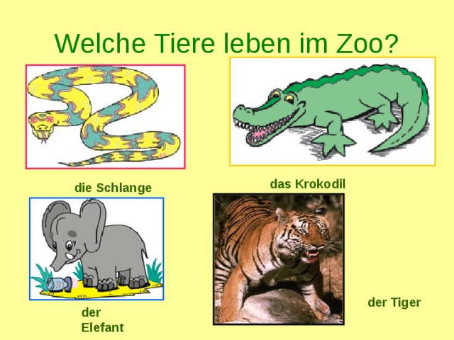 Welche Tiere leben im Zoo? das Krokodil die Schlange der Tiger der Elefant 