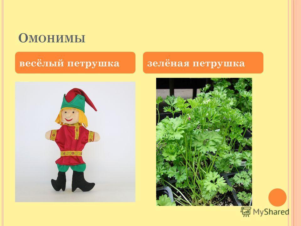 Проект про петрушку