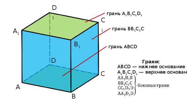 D 1 грань A 1 B 1 C 1 D 1 C 1 грань BB 1 C 1 C A 1 B 1 грань ABCD D Грани: ABCD — нижнее основание A 1 B 1 C 1 D 1 — верхнее основание C A B 