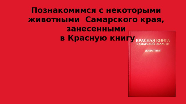 Познакомимся с некоторыми животными Самарского края, занесенными  в Красную книгу 