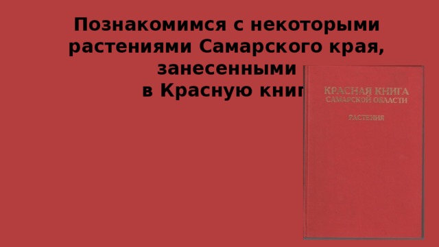 Познакомимся с некоторыми растениями Самарского края, занесенными  в Красную книгу 