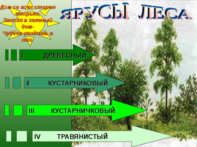 Дом со всех сторон открыт, Заходя в зеленый дом- Чудеса увидишь в нем . I ДРЕВЕСНЫЙ II КУСТАРНИКОВЫЙ III КУСТАРНИЧКОВЫЙ IV ТРАВЯНИСТЫЙ 