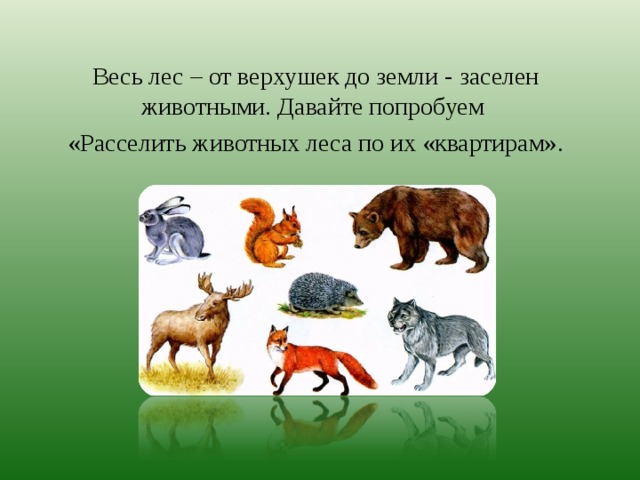 Лесное животное 2 буквы. Что лесу дают животные. Рассели животных в лесу. Полезные звери для леса. Заселение животных в лесу.