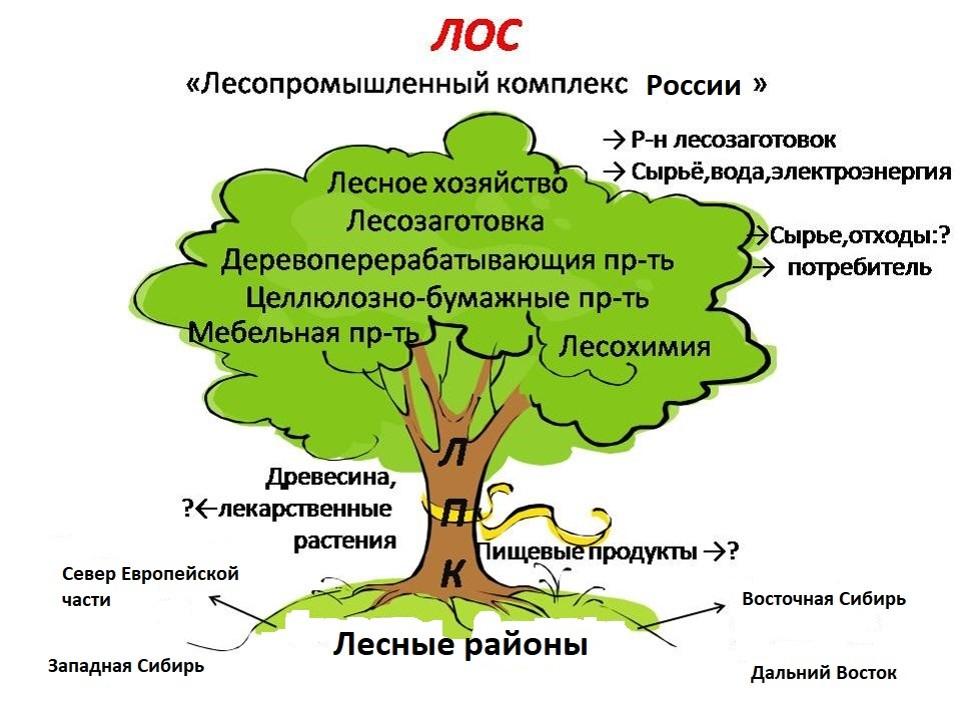 Лесопромышленный комплекс 8 класс география презентация