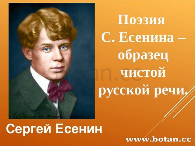 Урок чистый ручеек нашей речи. Стихи Есенина гроза. Запахи в поэзии Есенина. Сложные предложения из стихов Есенина. Сравнение в стихах Есенина.