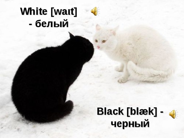 White [wa ι t] - белый Black [blæk] - черный 