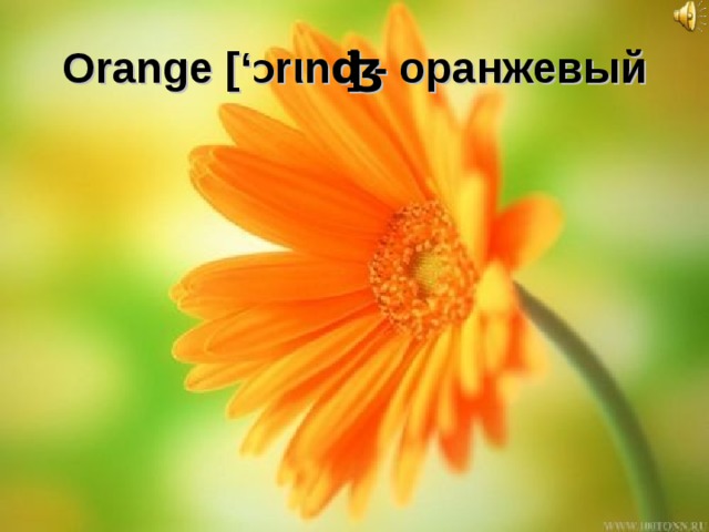 Orange [‘ Ɔ rιnʤ] - оранжевый 