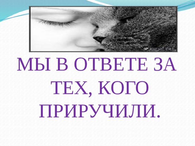 МЫ В ОТВЕТЕ ЗА ТЕХ, КОГО ПРИРУЧИЛИ.