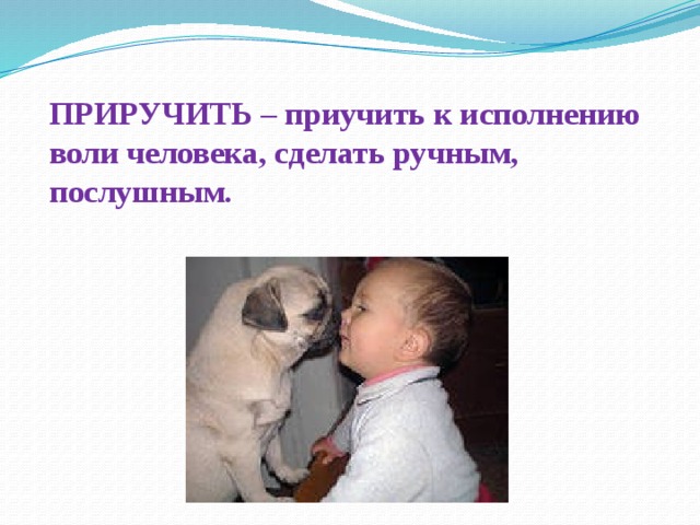 ПРИРУЧИТЬ – приучить к исполнению воли человека, сделать ручным, послушным.