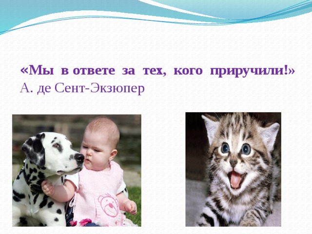 « Мы в ответе за тех, кого приручили!»  А. де Сент-Экзюпер