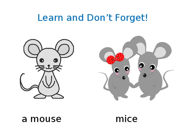 Learn and Don’t Forget! a mouse mice 
