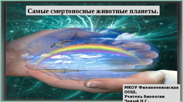 Самые смертоносные животные планеты. МКОУ Филиппенковская ООШ, Учитель биологии Чалый Н.С.  2019 г. 