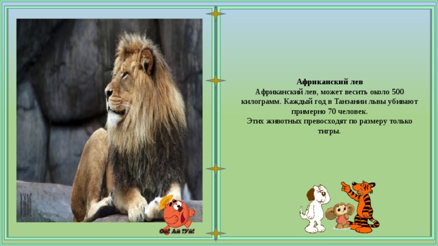 Африканский лев Африканский лев, может весить около 500 килограмм. Каждый год в Танзании львы убивают примерно 70 человек. Этих животных превосходят по размеру только тигры. 
