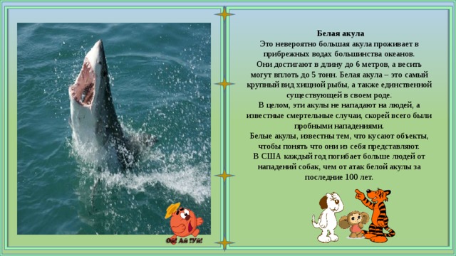    Белая акула Это невероятно большая акула проживает в прибрежных водах большинства океанов. Они достигают в длину до 6 метров, а весить могут вплоть до 5 тонн. Белая акула – это самый крупный вид хищной рыбы, а также единственной существующей в своем роде. В целом, эти акулы не нападают на людей, а известные смертельные случаи, скорей всего были пробными нападениями. Белые акулы, известны тем, что кусают объекты, чтобы понять что они из себя представляют. В США каждый год погибает больше людей от нападений собак, чем от атак белой акулы за последние 100 лет. 