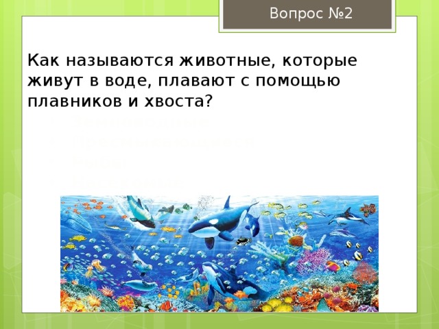 Вопрос №2 Как называются животные, которые живут в воде, плавают с помощью плавников и хвоста? Земноводные Пресмыкающиеся Рыбы Насекомые Земноводные Пресмыкающиеся Рыбы Насекомые 