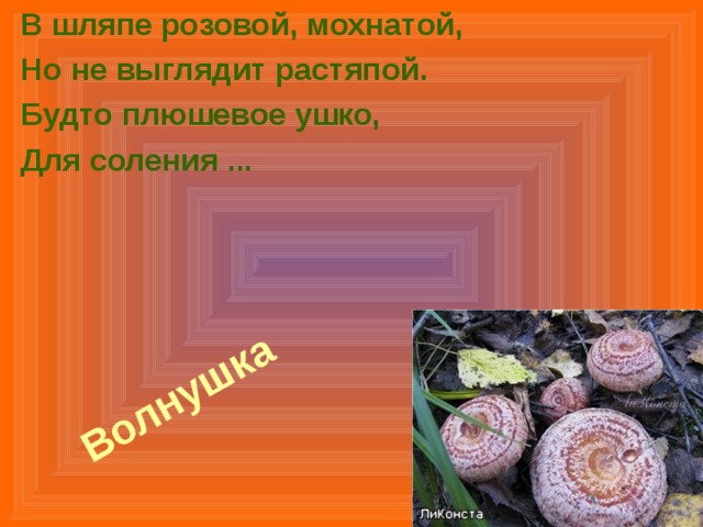 В шляпе розовой, мохнатой, Но не выглядит растяпой. Будто плюшевое ушко, Для соления ... Волнушка  