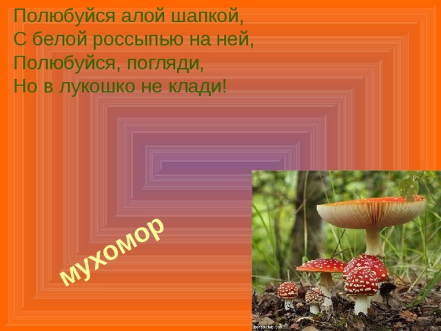 мухомор  