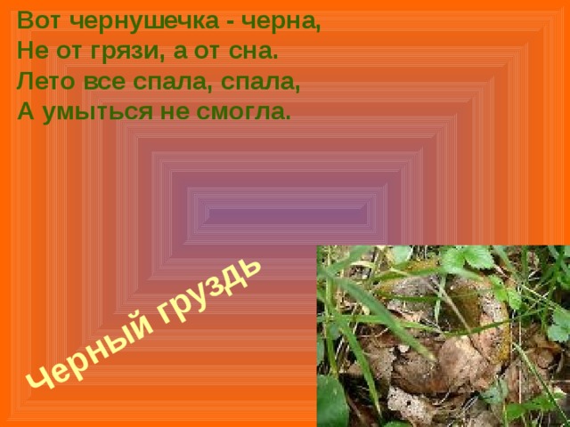 Вот чернушечка - черна,  Не от грязи, а от сна.  Лето все спала, спала,  А умыться не смогла.       Черный груздь   