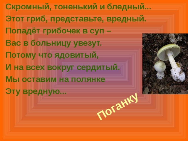 Скромный, тоненький и бледный... Этот гриб, представьте, вредный. Попадёт грибочек в суп – Вас в больницу увезут. Потому что ядовитый, И на всех вокруг сердитый. Мы оставим на полянке Эту вредную...  Поганку   