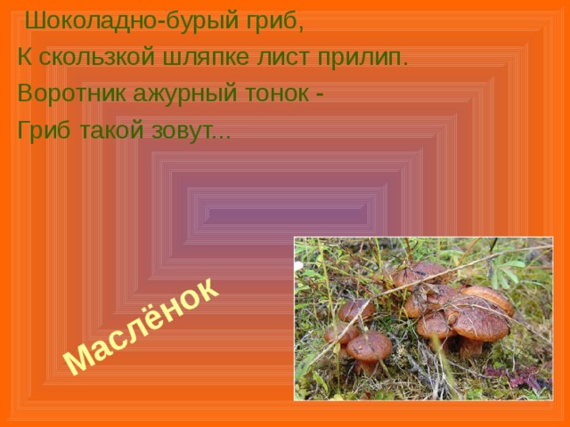 Маслёнок   