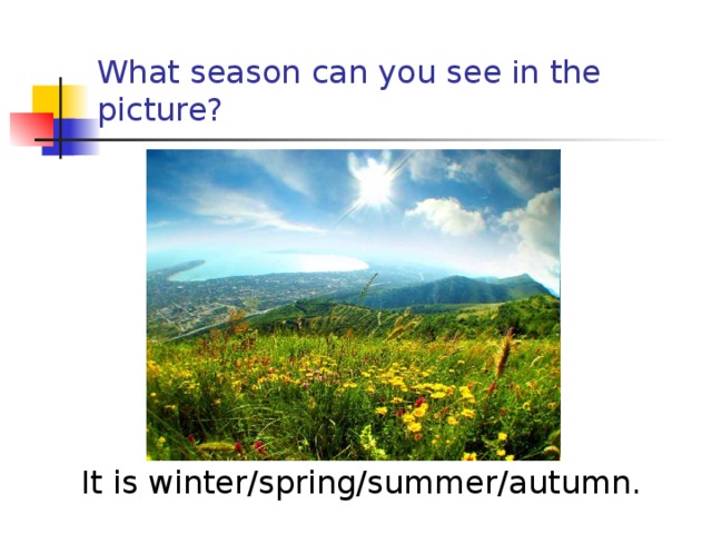 What season can you see i n the picture? It is winter/spring/summer/autumn. 