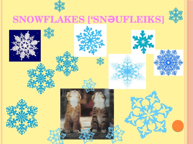 Snowflakes [‘snəufleiks] 