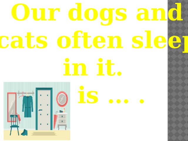 Our dogs and cats often sleep in it. It is … .  