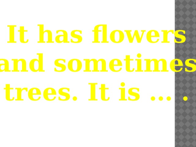 It has flowers and sometimes trees. It is … . 