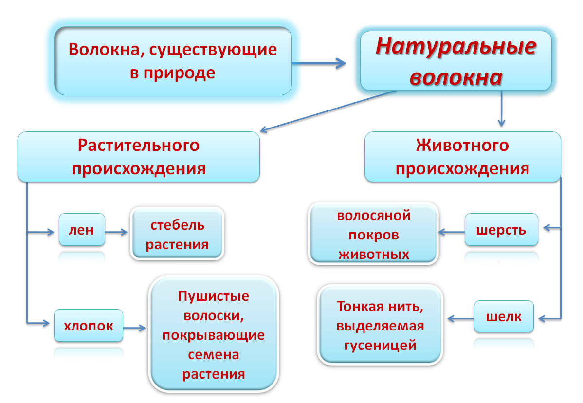 Презентация волокна растительного происхождения 5 класс презентация