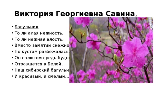 Яковлев багульник презентация