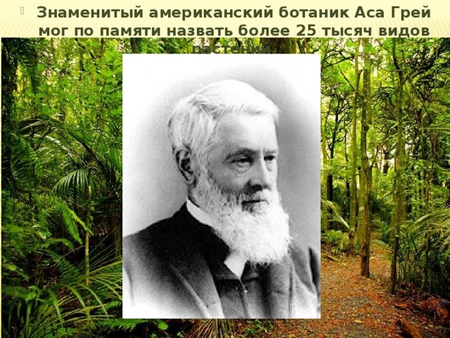 Знаменитый американский ботаник Аса Грей мог по памяти назвать более 25 тысяч видов растений. 